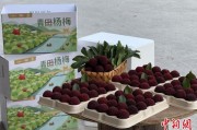 四柱排盘高速赋能产业升级：一条“杨梅路”的致富密码